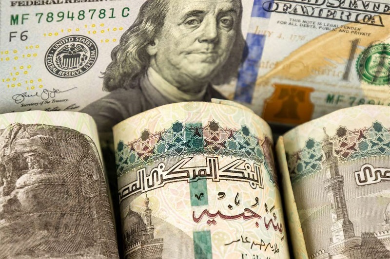 <strong>أسعار الدولار اليوم في البنوك المصرية</strong>
