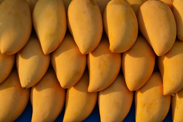 فوائد المانجو