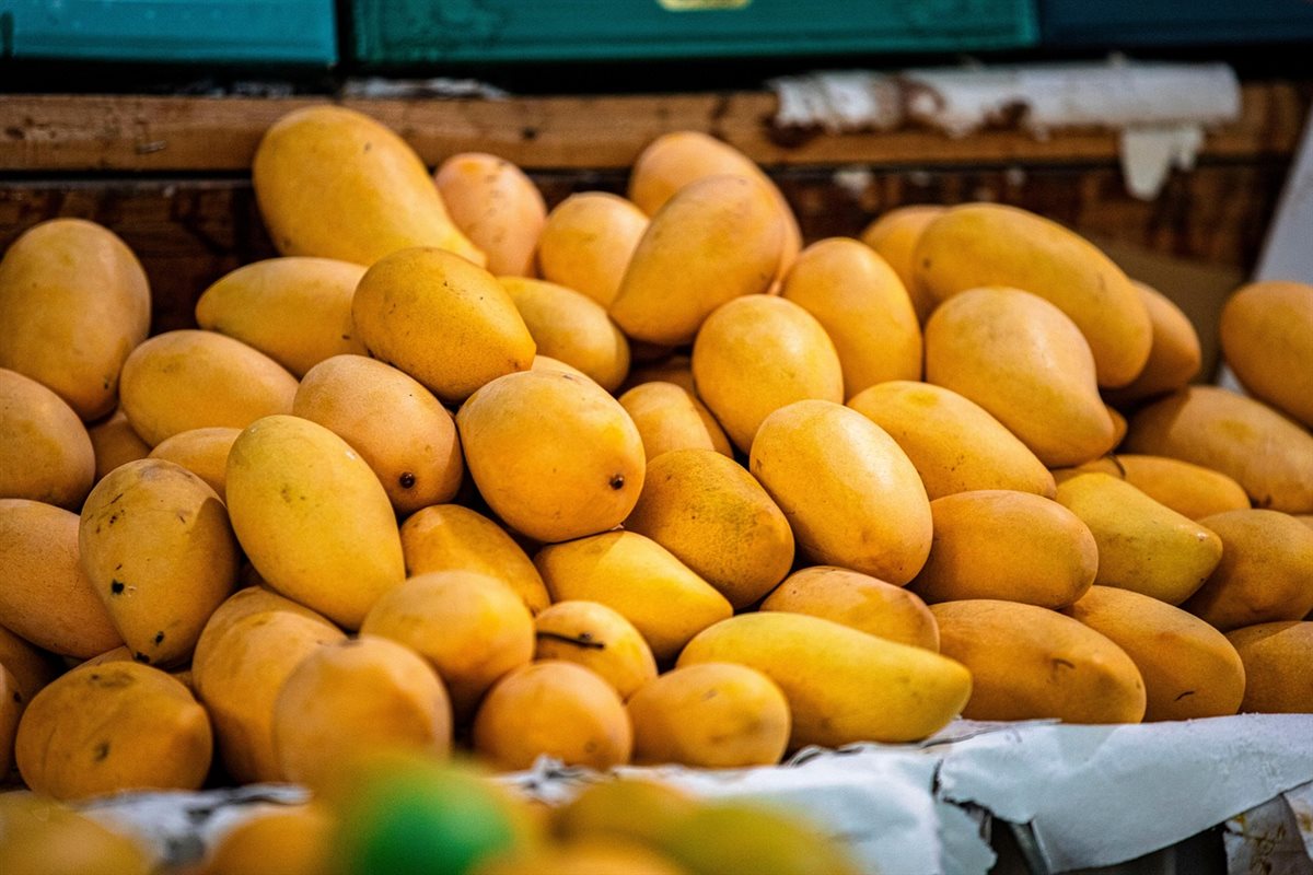 فوائد المانجو
