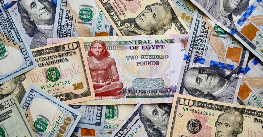 <strong>سعر الدولار اليوم ببداية التعاملات</strong>