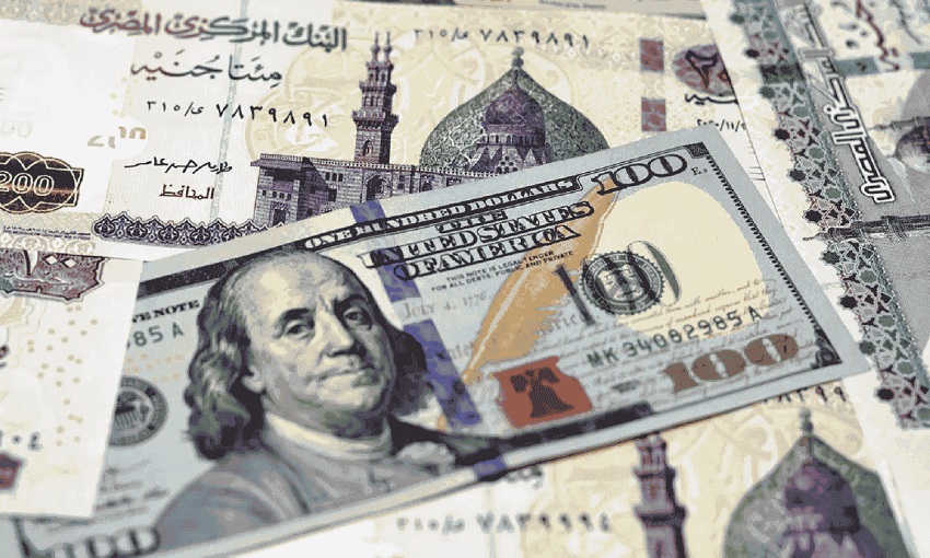 <strong>سعر الدولار اليوم</strong>