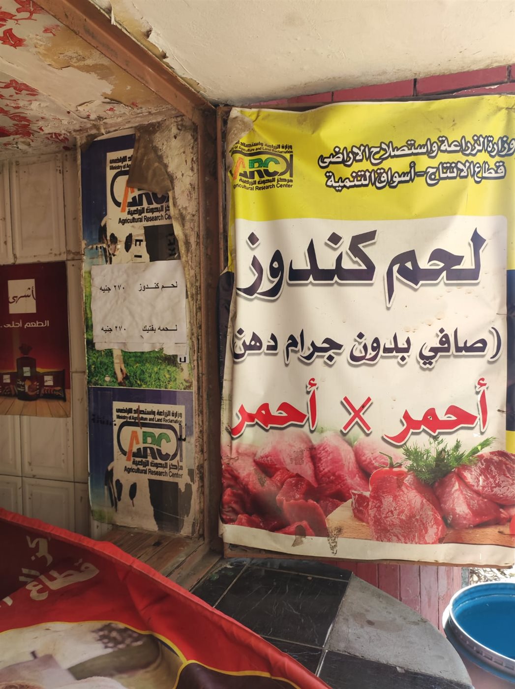لحم الكندوز - لحم البفتيك 270 جنيه