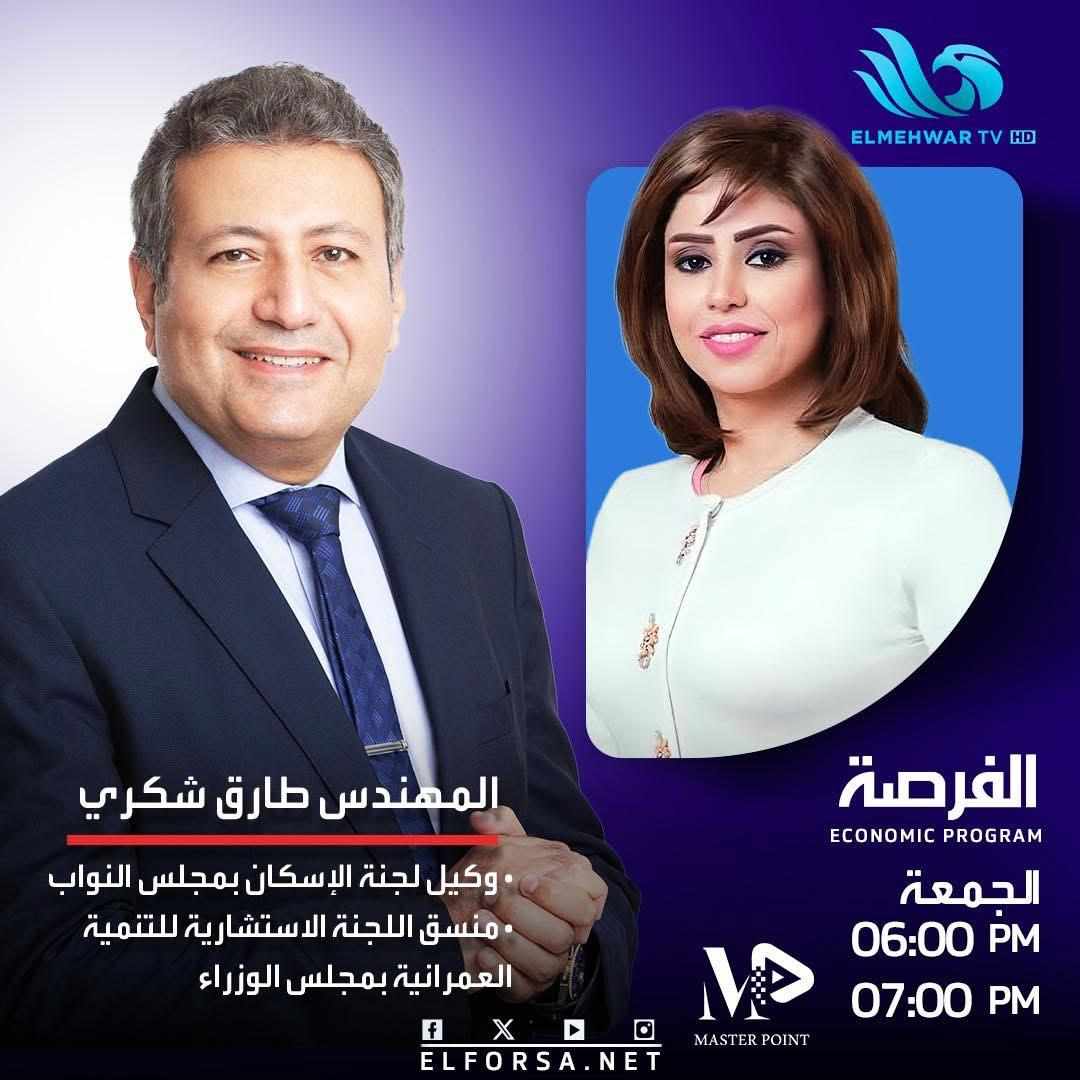 قناة المحور