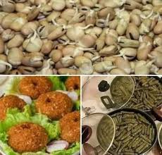الطعمية والفول النابت