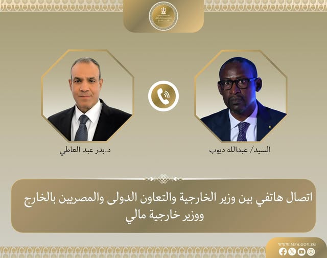 <strong>وزير الخارجية يبحث مع نظيره المالي جهود مكافحة الارهاب فى منطقة الساحل</strong>
