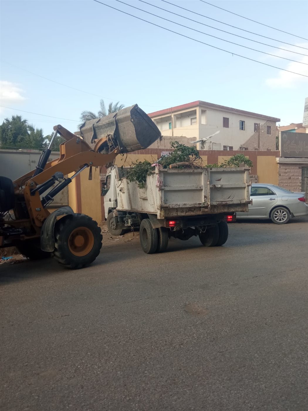 حملات للنظافة ورفع الإشغالات وتحسين المظهر الحضاري بمركزي إطسا وطامية