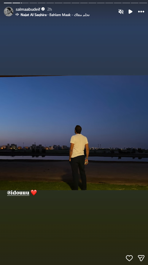 سلمى أبو ضيف تحتفل بعيد ميلاد زوجها