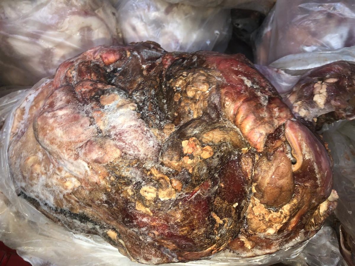 مديرية تموين الفيوم ضبط 1332 كيلو لحوم فاسدة وغير صالحه للأستهلاك الادمي والحيواني