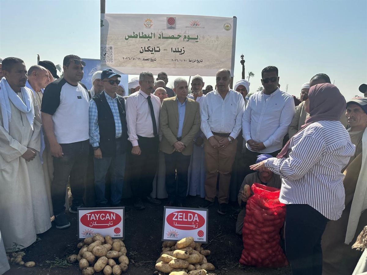 جانب من متابعة نتائج الأصناف الجديدة للبطاطس