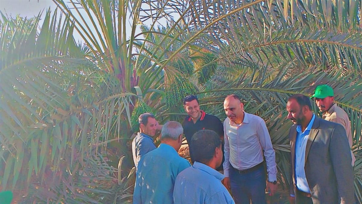 جانب من التواجد الميداني&nbsp;