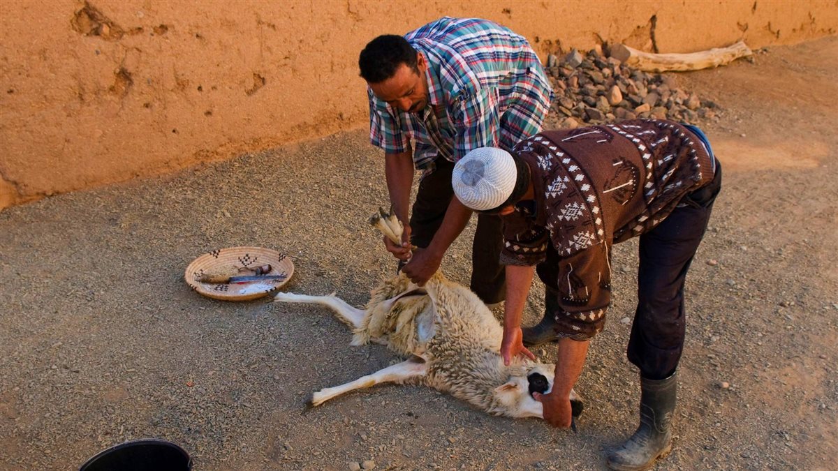مناسك الحج بالترتيب بالصور
