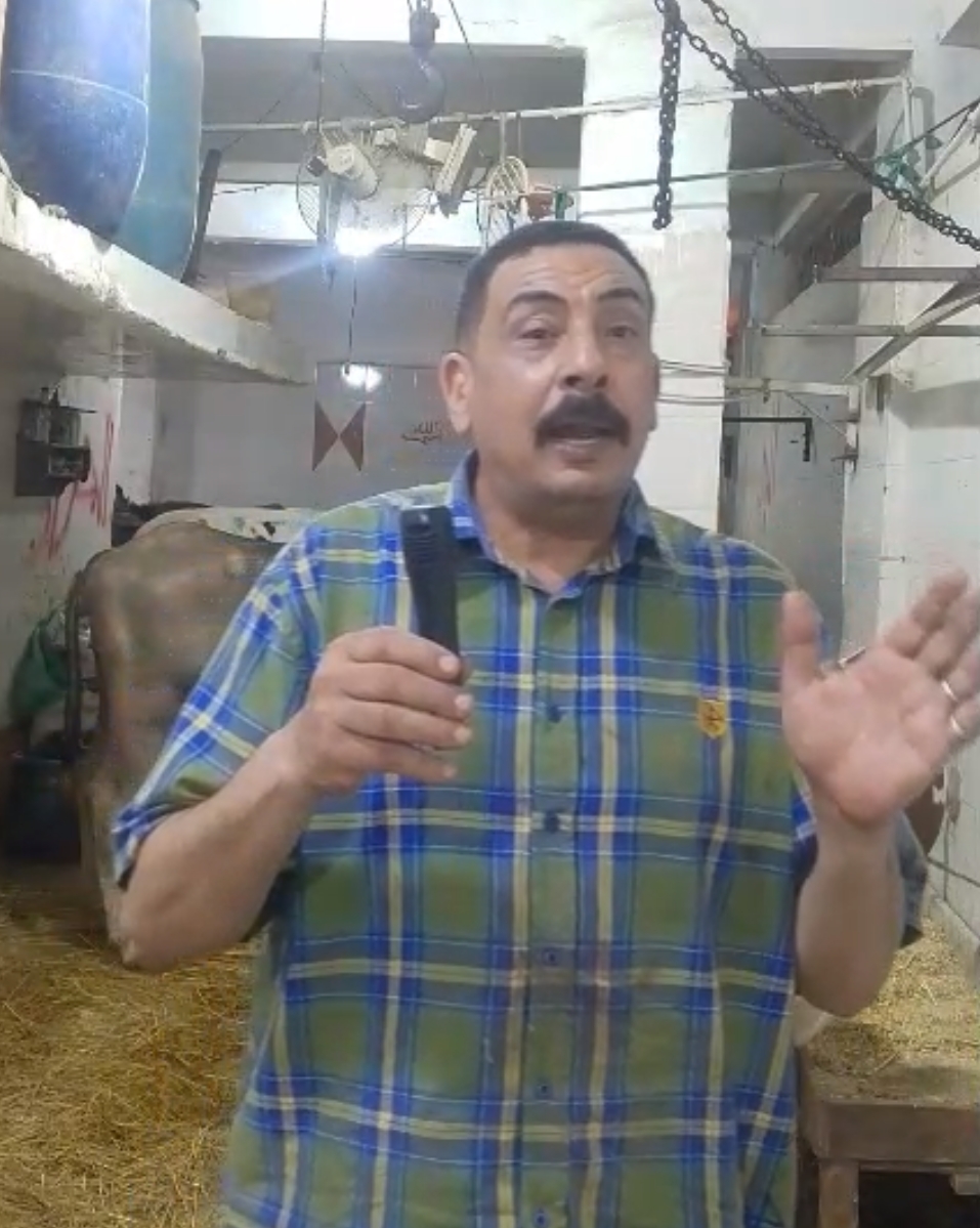 جانب من سوق المواشي