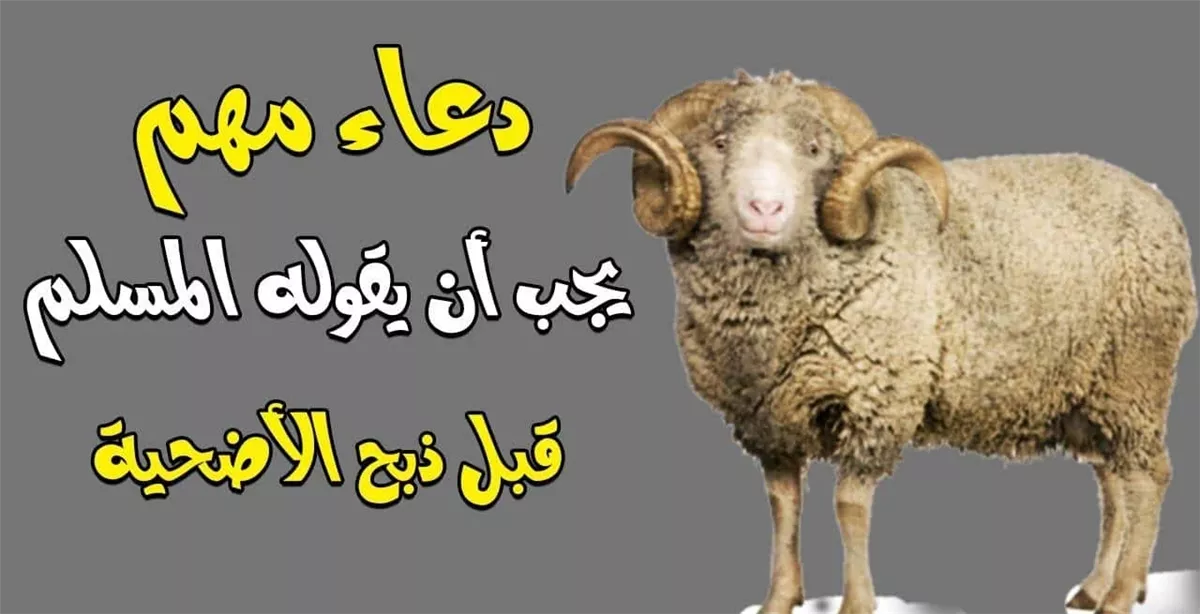 أفضل دعاء عند ذبح الأضحية