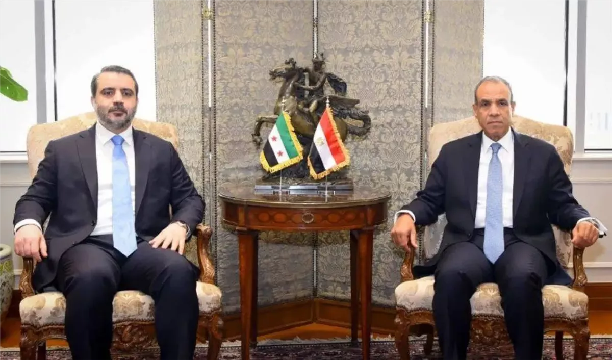 <strong>وزير الخارجية المصري ونظيره السوري</strong>