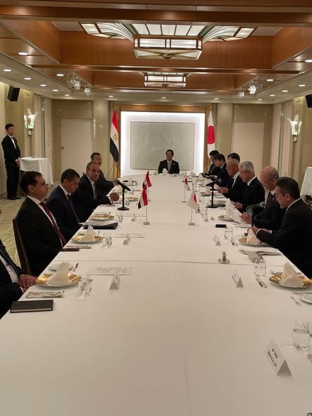 <strong>وزير الخارجية يلتقي مجلس الأعمال المصري–الياباني</strong>