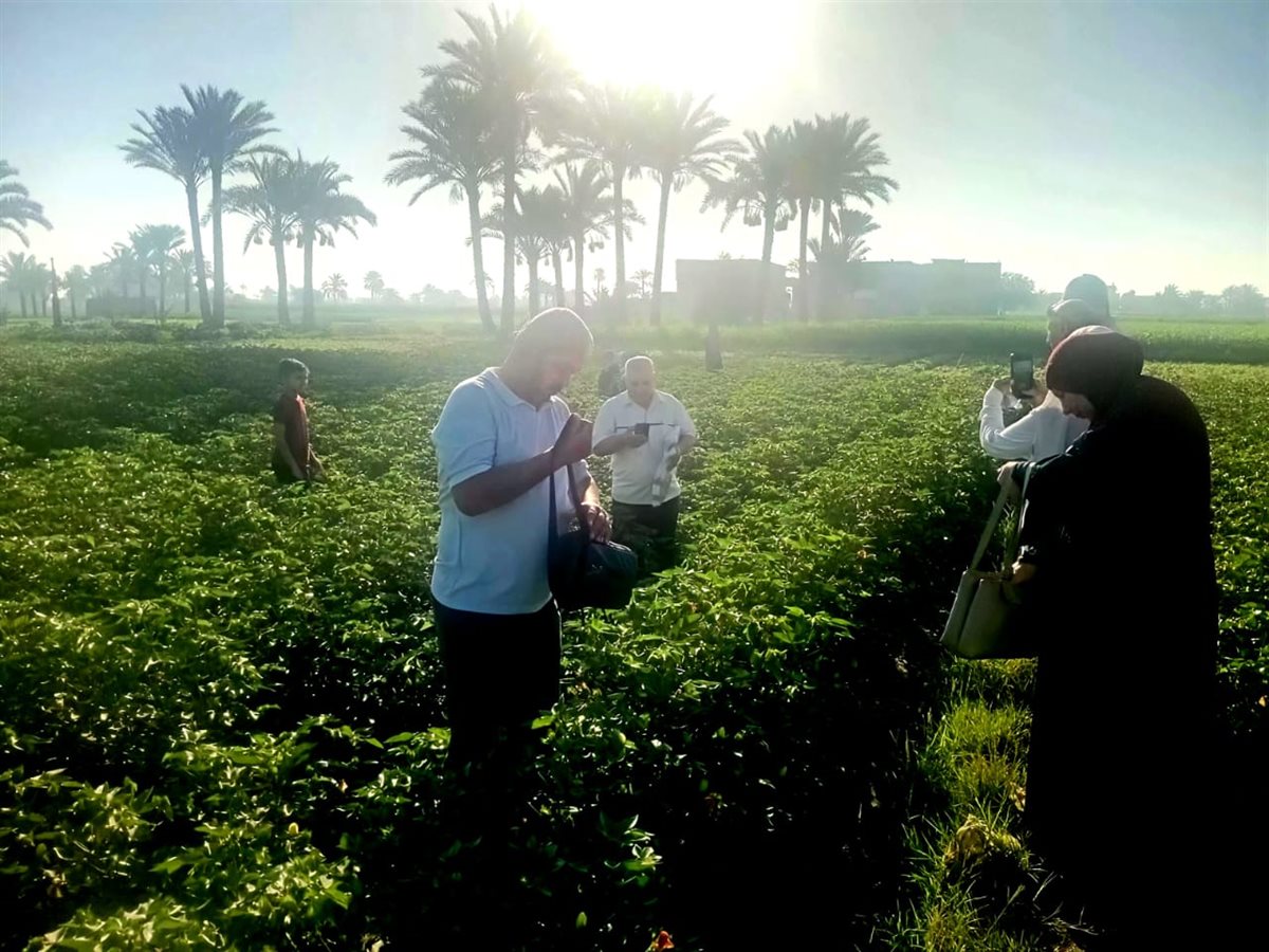 مديرية الزراعة تطلق الدفعة الأولى من طفيل 