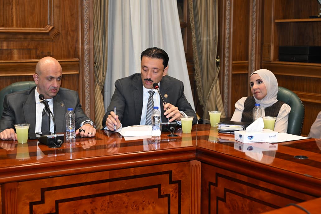 النائب محمد رزق