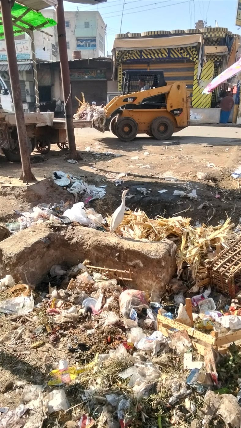 حملات مكثفة للنظافة ورفع الإشغالات وتحسين المظهر الحضاري بمركزي إطسا ويوسف الصديق