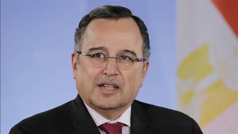 <strong>نبيل فهمي</strong>