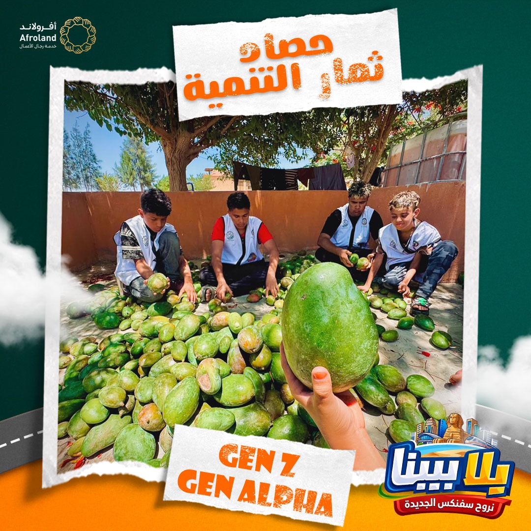 مؤسسة أفرولاند