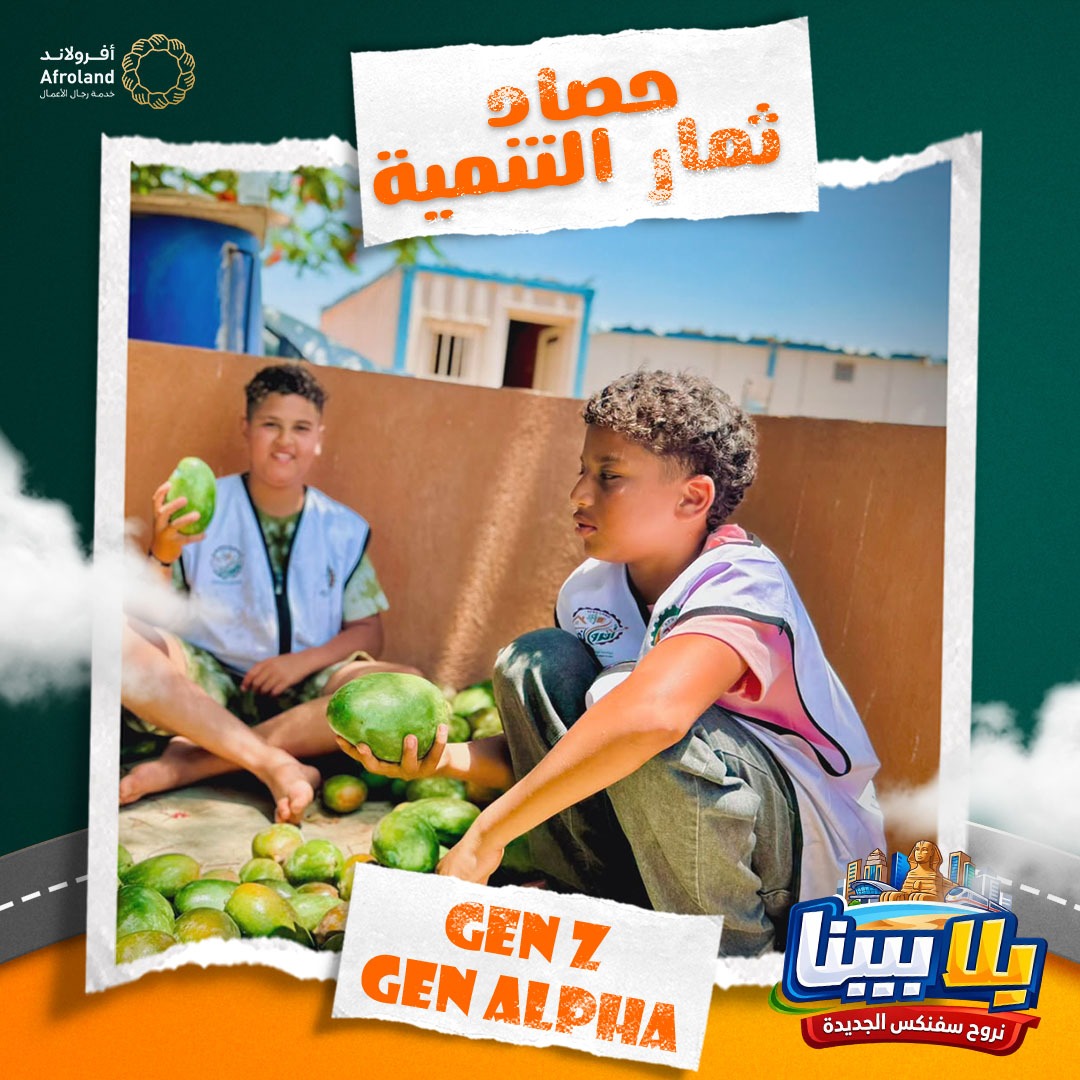 مؤسسة أفرولاند