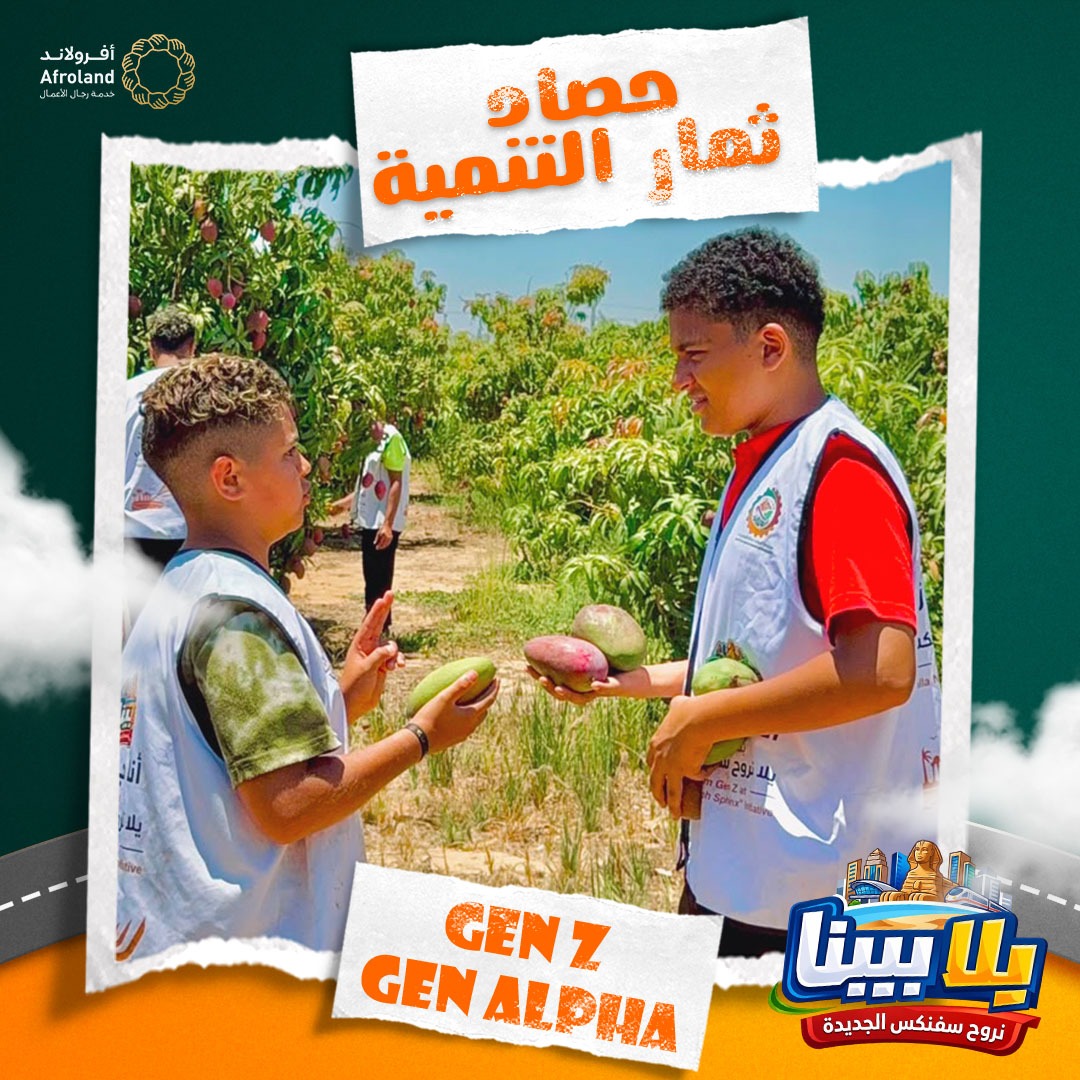 مؤسسة أفرولاند