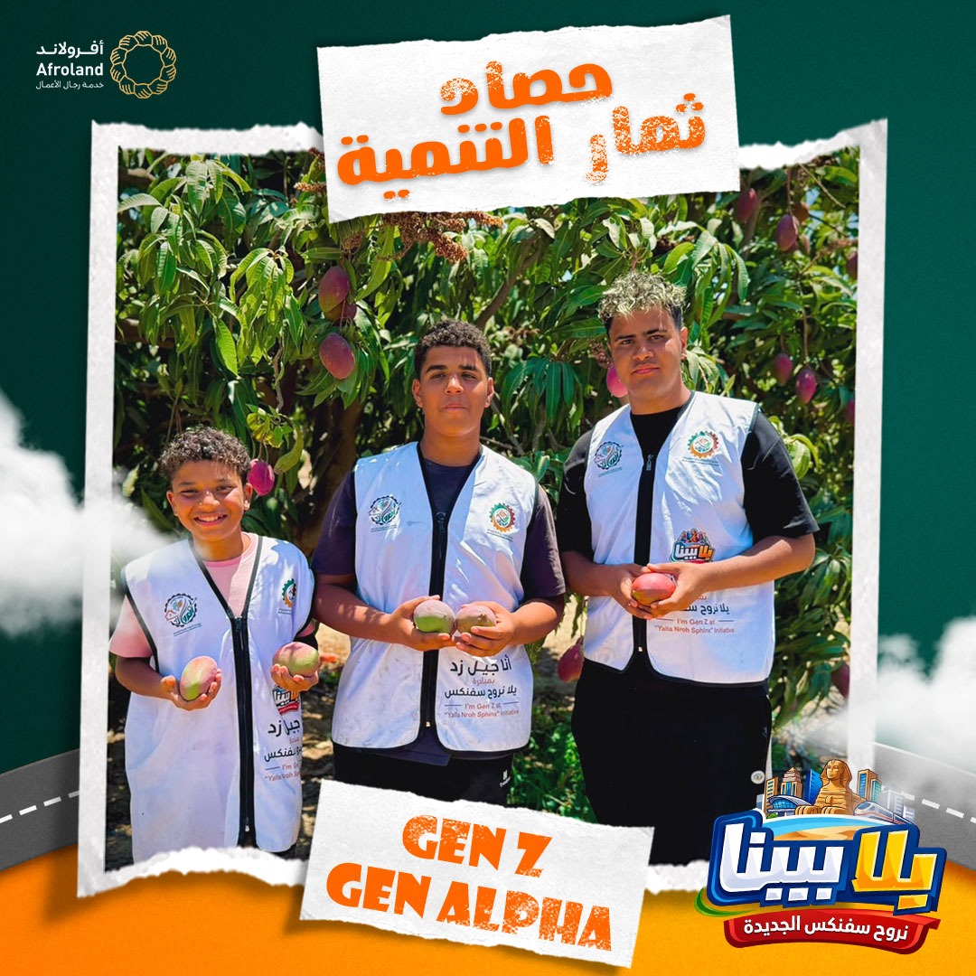 مؤسسة أفرولاند