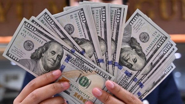 سعر الدولار اليوم في مصر