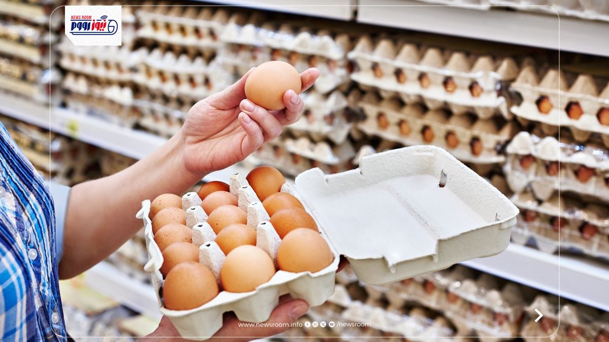 سعر كرتونة البيض اليوم