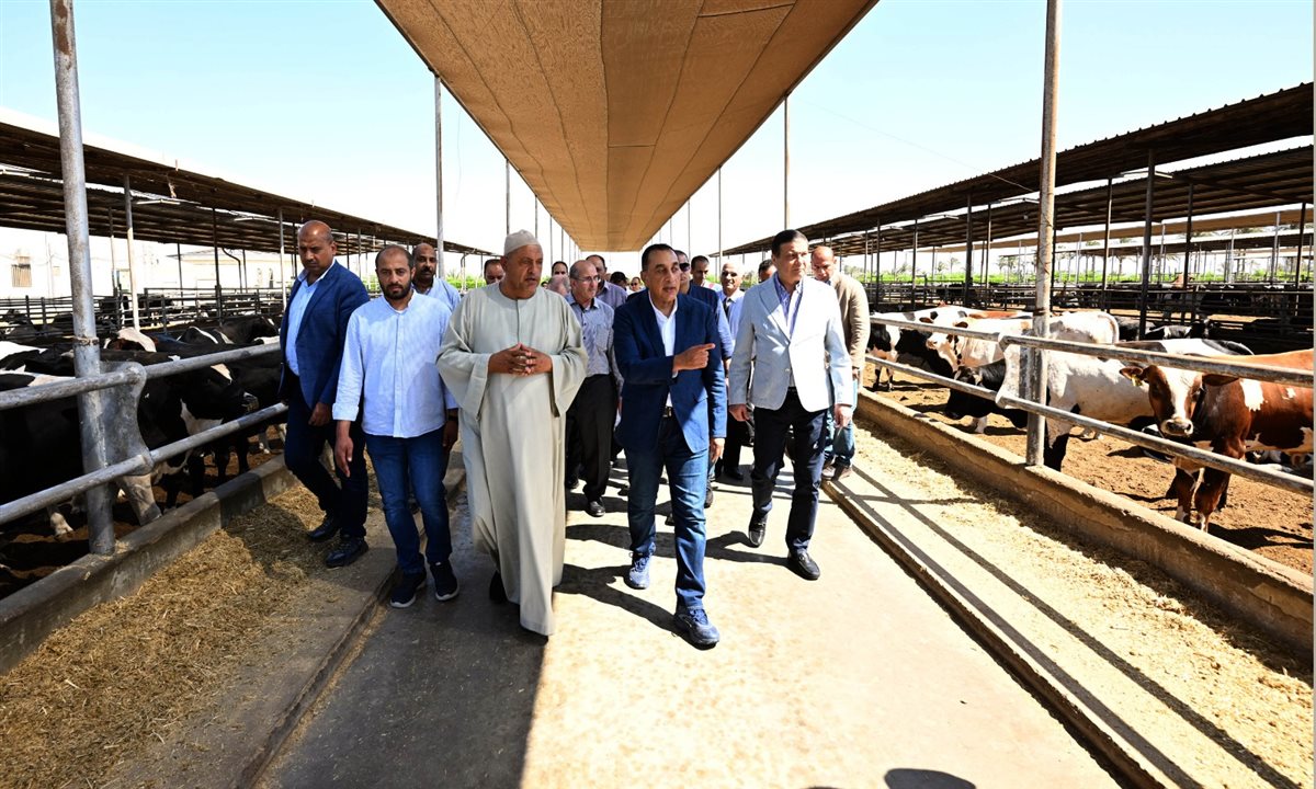 مزرعة