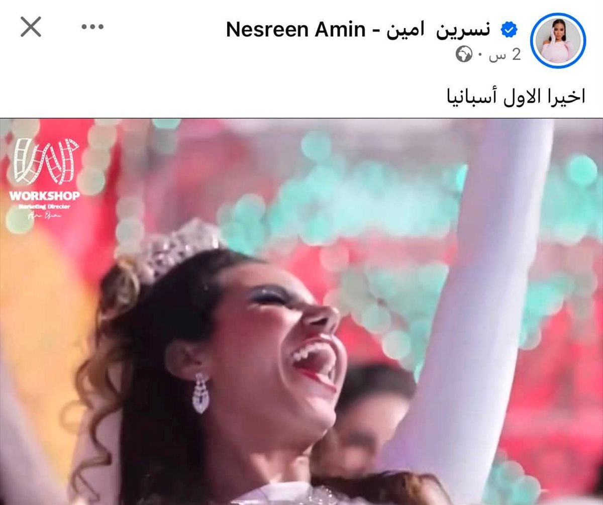 نسرين امين