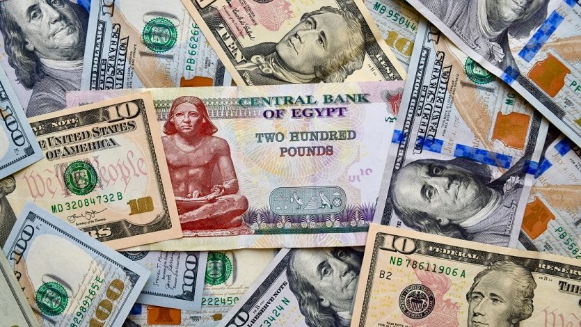 سعر الدولار