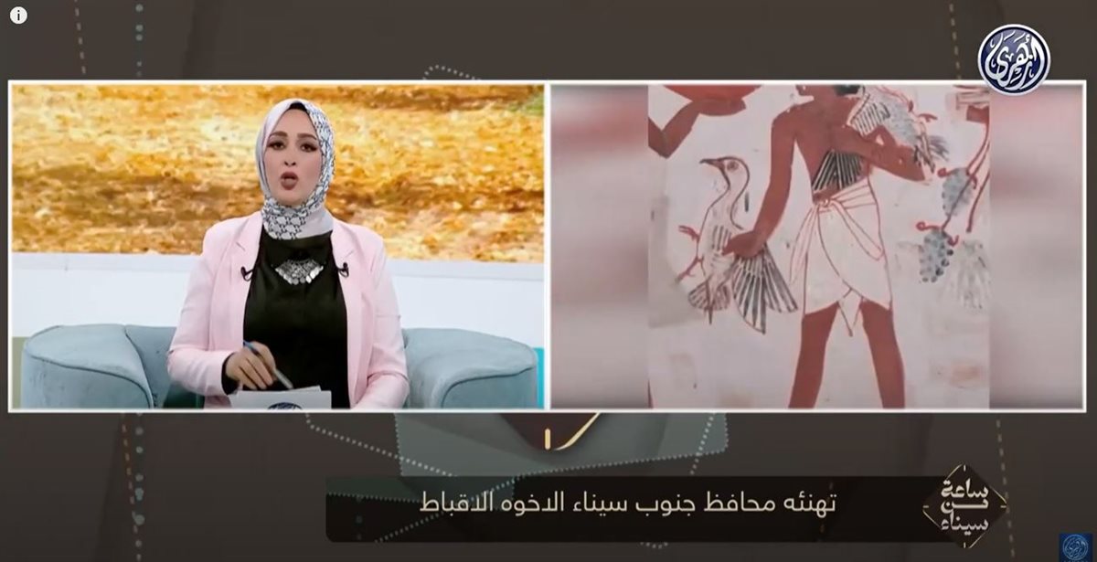 برنامج ساعة من سيناء