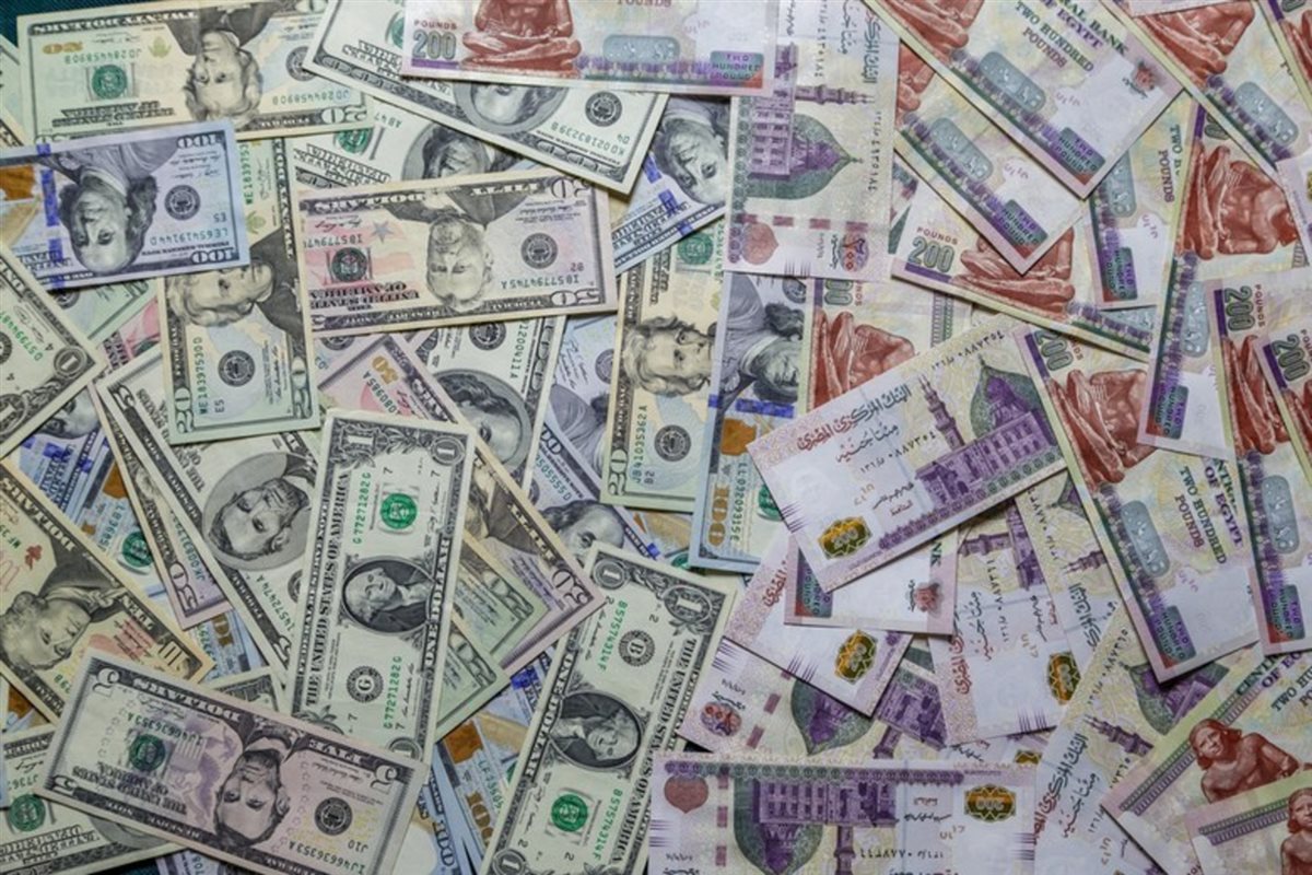 <strong>سعر الدولار اليوم</strong>