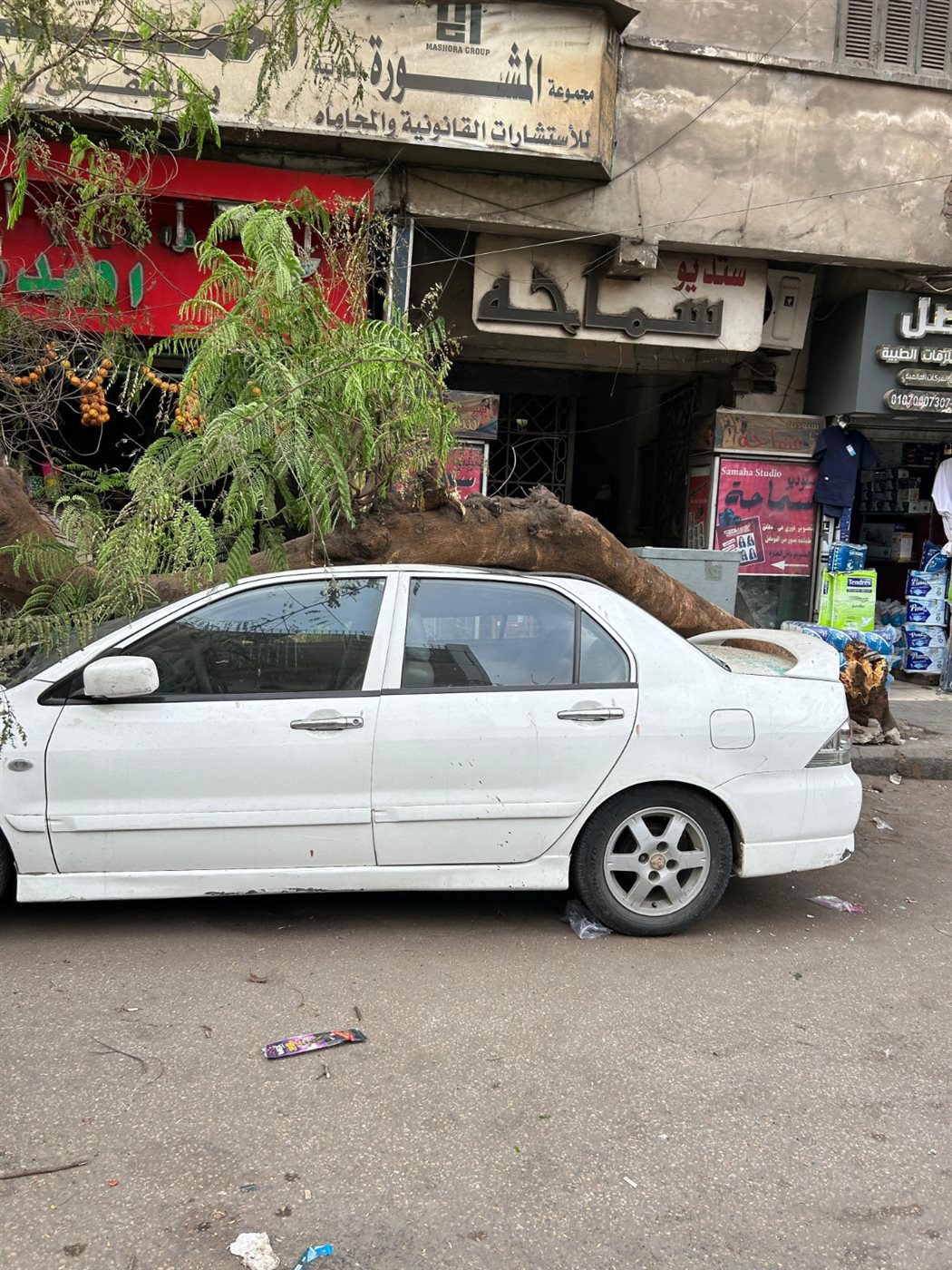 سقوط شجرة على سيارتين في شارع قصر العيني بالسيدة زينب