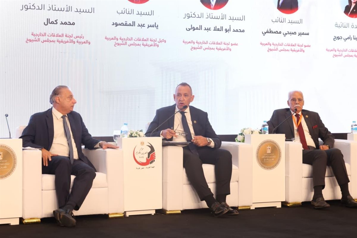 النائب ياسر عبد المقصود