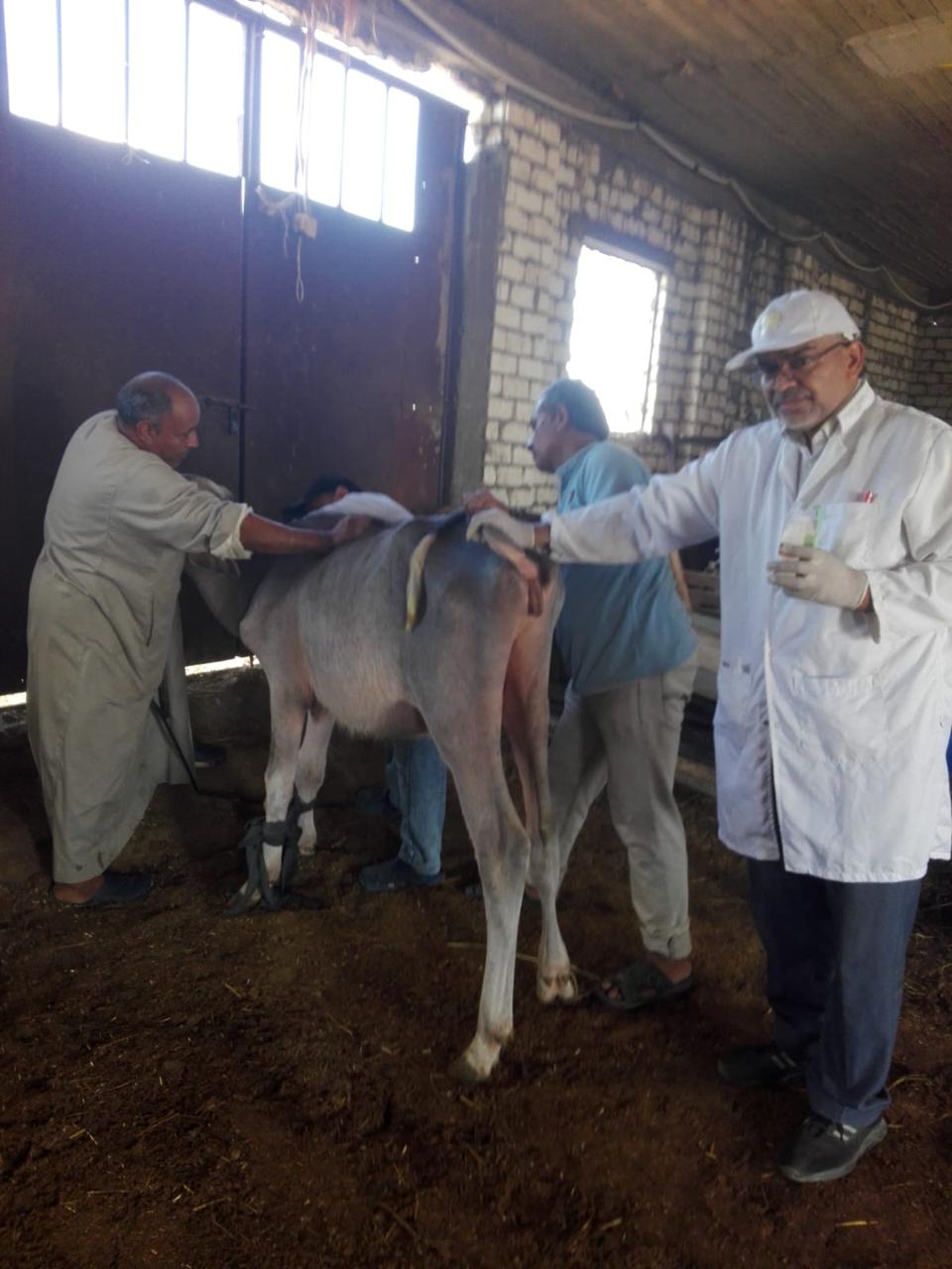 جانب من القافلة الطبية