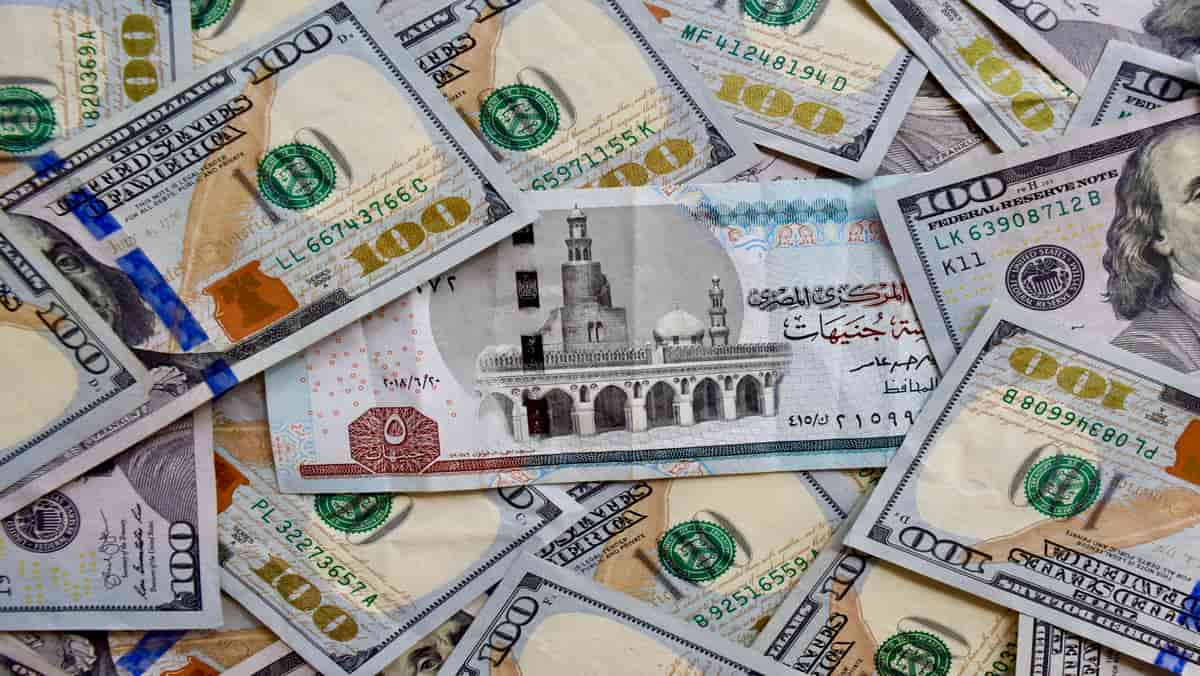<strong>تراجع سعر الدولار اليوم</strong>