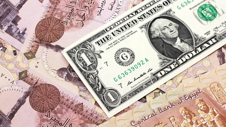 <strong>سعر الدولار اليوم مقابل الجنيه المصري</strong>