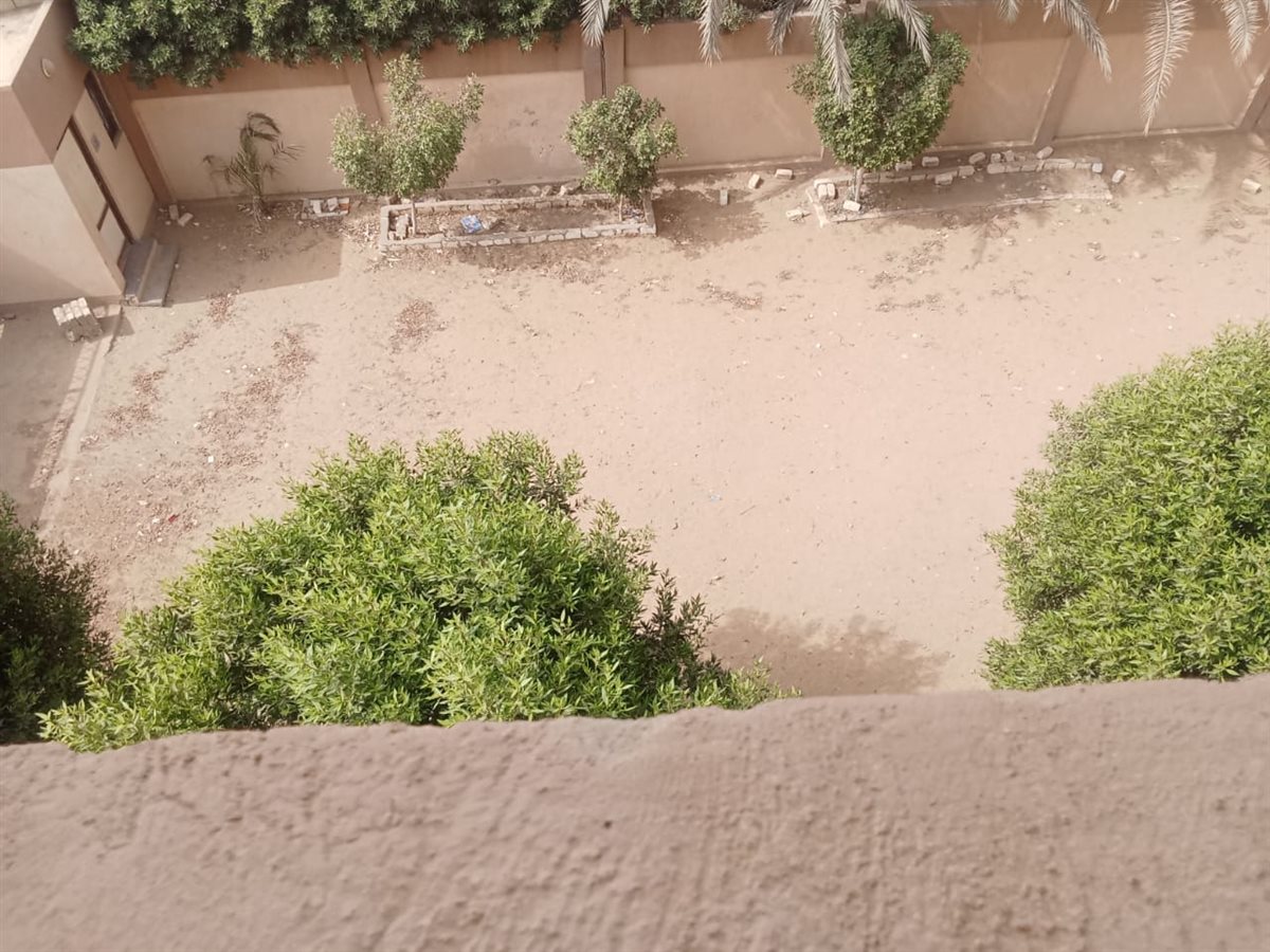 11879