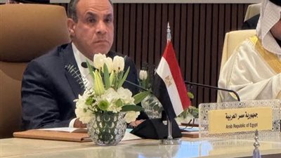 مصر تحذر من تحول سوريا إلى مركز للجماعات الإرهابية 