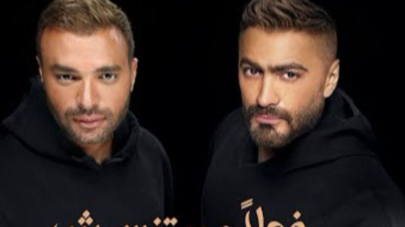 الفنان تامر حسنى