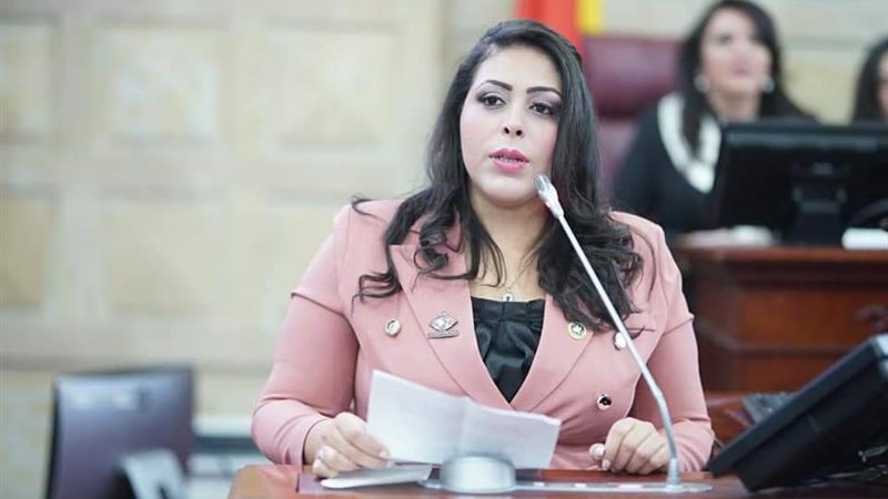 النائبة مرثا محروس،