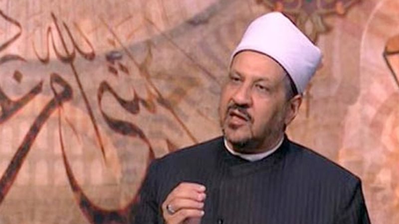 الدكتور مجدى عاشور
