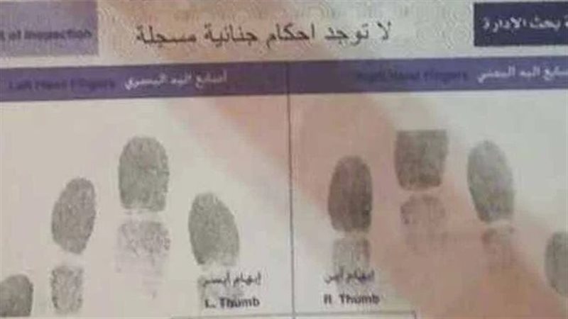 الفيش الجنائي