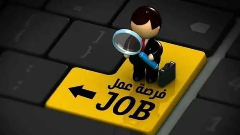 وظائف «الشباب والرياضة»