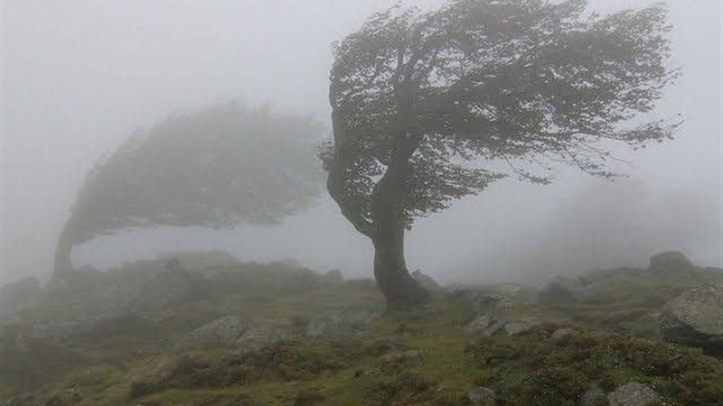 عاصفة إيوين (العاصفة