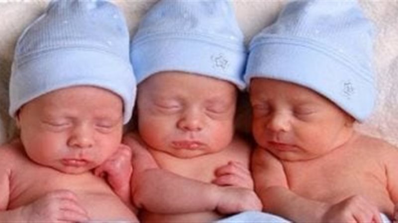 حكم الإنجاب عن طريق