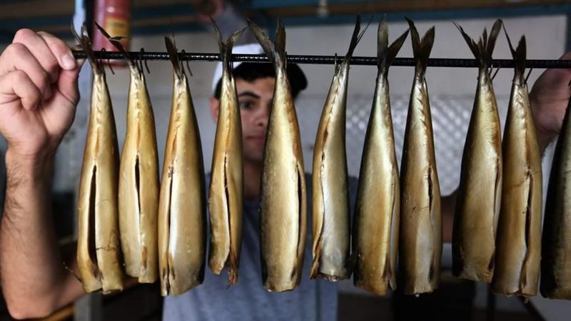 الرينجا
