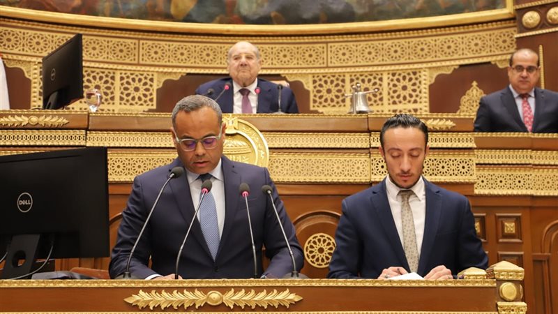 الجلسة العامة لمجلس